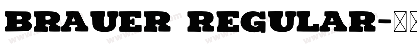 Brauer Regular字体转换